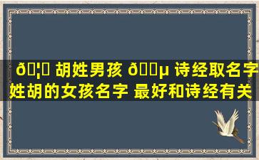 🦉 胡姓男孩 🌵 诗经取名字（姓胡的女孩名字 最好和诗经有关）